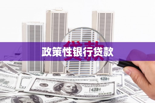 春日政策性银行贷款