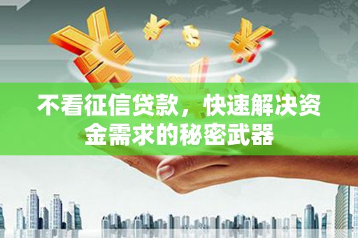 春日不看征信贷款，快速解决资金需求的秘密武器