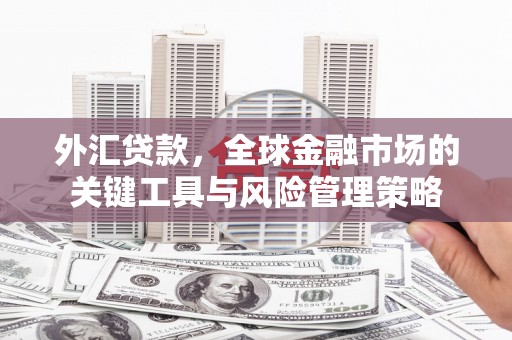 春日外汇贷款，全球金融市场的关键工具与风险管理策略
