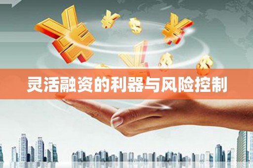春日灵活融资的利器与风险控制