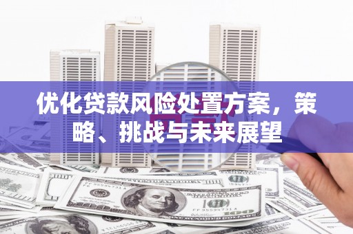 春日优化贷款风险处置方案，策略、挑战与未来展望