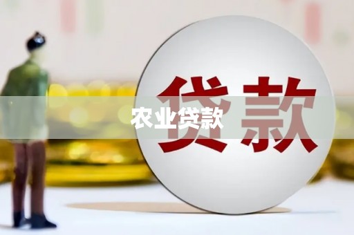 春日农业贷款