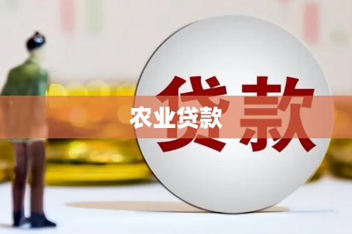 春日农业贷款