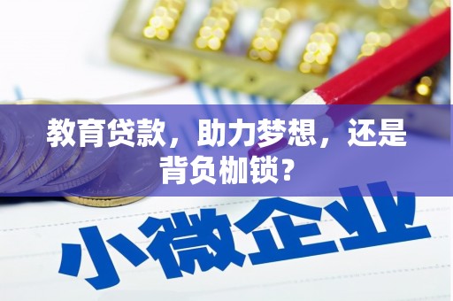 春日教育贷款，助力梦想，还是背负枷锁？