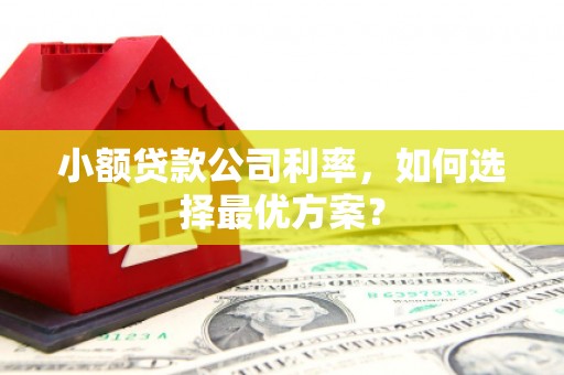 春日小额贷款公司利率，如何选择最优方案？