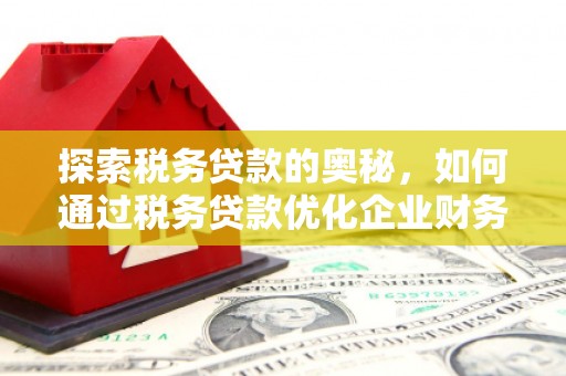 春日探索税务贷款的奥秘，如何通过税务贷款优化企业财务