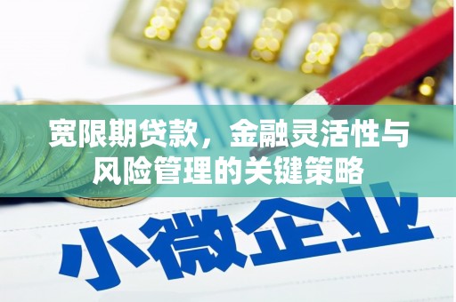 春日宽限期贷款，金融灵活性与风险管理的关键策略