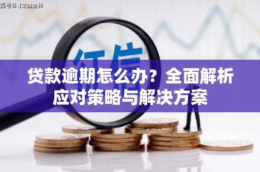 春日贷款逾期怎么办？全面解析应对策略与解决方案