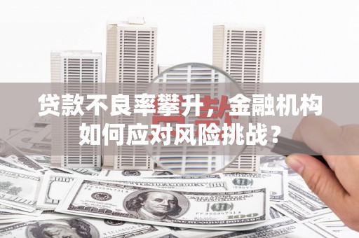 春日贷款不良率攀升，金融机构如何应对风险挑战？