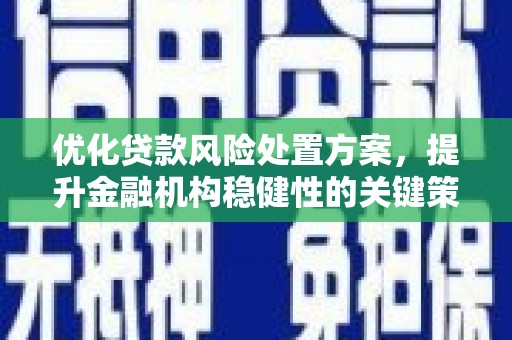 春日优化贷款风险处置方案，提升金融机构稳健性的关键策略
