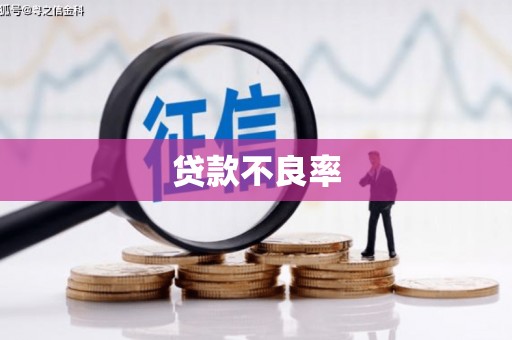 春日贷款不良率