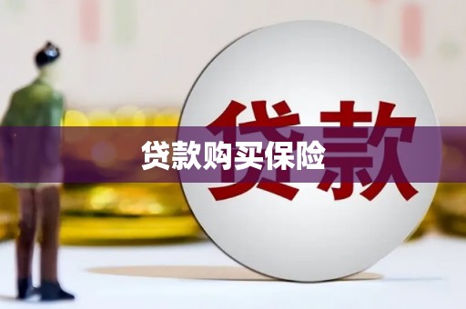 春日贷款购买保险