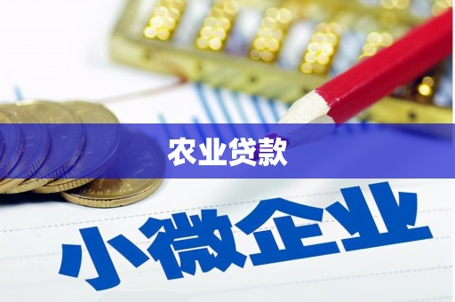 春日农业贷款