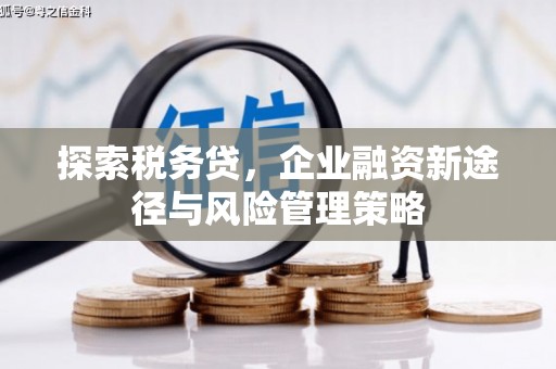 春日探索税务贷，企业融资新途径与风险管理策略
