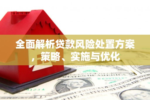春日全面解析贷款风险处置方案，策略、实施与优化