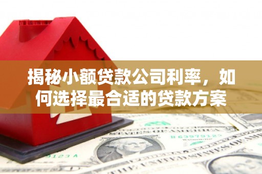 春日揭秘小额贷款公司利率，如何选择最合适的贷款方案