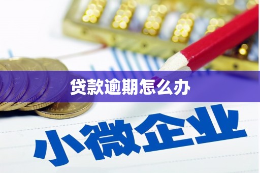 春日贷款逾期怎么办
