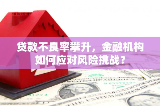 春日贷款不良率攀升，金融机构如何应对风险挑战？