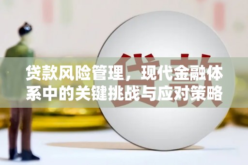 春日贷款风险管理，现代金融体系中的关键挑战与应对策略
