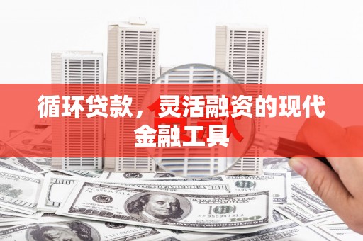 春日循环贷款，灵活融资的现代金融工具