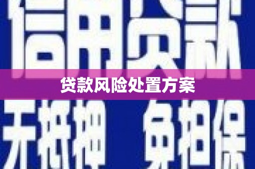 春日贷款风险处置方案