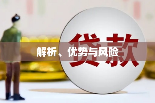 春日解析、优势与风险